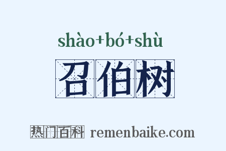 召伯树是什么意思的图片